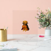 Golden Retriever Halloween Chien avec bonbon Citro (Mariage)