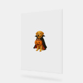 Golden Retriever Halloween Chien avec bonbon Citro (Angle)