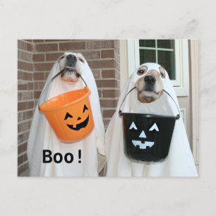Golden Retriever Halloween Ghosts Briefkaart
