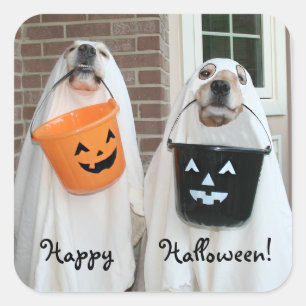 Golden Retriever Halloween Ghosts Vierkante Sticker