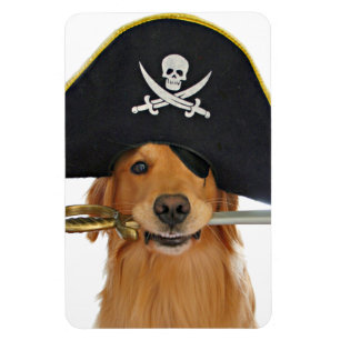 Golden Retriever Halloween Pirate Magneet