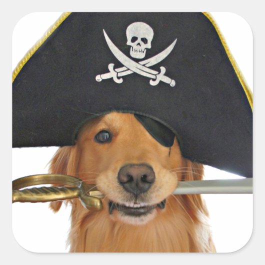 Golden Retriever Halloween Pirate Vierkante Sticker (Voorkant)