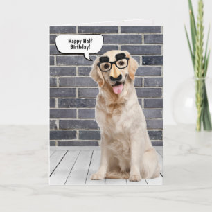 Golden Retriever Halve Verjaardag Humor Kaart