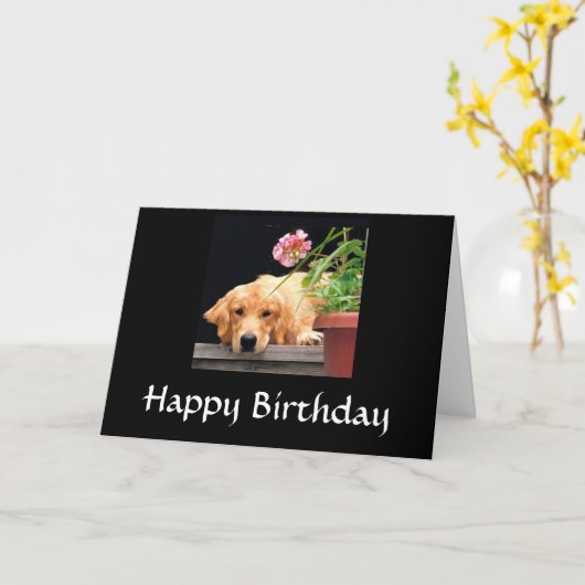 Golden Retriever Happy Birthday Kaart (Gele Bloem)