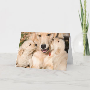 Golden Retriever Happy Moederdag Kaart