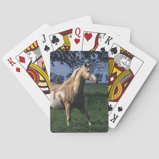 Golden Retriever head 3 deck C - Gepersonaliseerd Pokerkaarten (Achterkant)