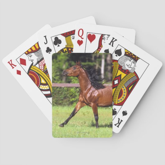 Golden Retriever head 3 deck C - Gepersonaliseerd Pokerkaarten (Achterkant)