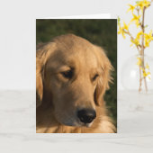 Golden Retriever Head Shot Notitiekaarten (Gele Bloem)
