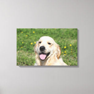 Golden Retriever Headshot 1 Canvas Afdruk