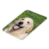 Golden Retriever Headshot 1 Magneet (Linkerzijde)