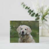 Golden Retriever Headshot 2 Briefkaart (Staand voorkant)