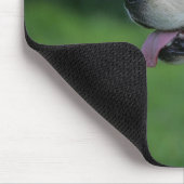 Golden Retriever Headshot 2 Muismat (Hoek)