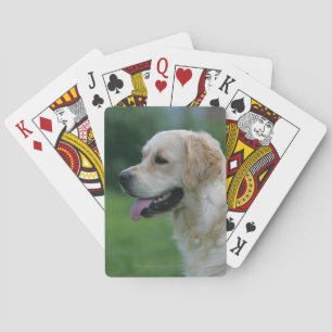 Golden Retriever Headshot 2 Pokerkaarten