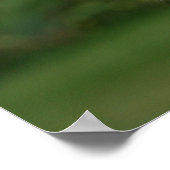 Golden Retriever Headshot 2 Poster (Hoek)