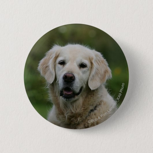 Golden Retriever Headshot 2 Ronde Button 5,7 Cm (Voorkant)
