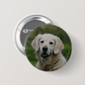 Golden Retriever Headshot 2 Ronde Button 5,7 Cm (Voorkant /achterkant)