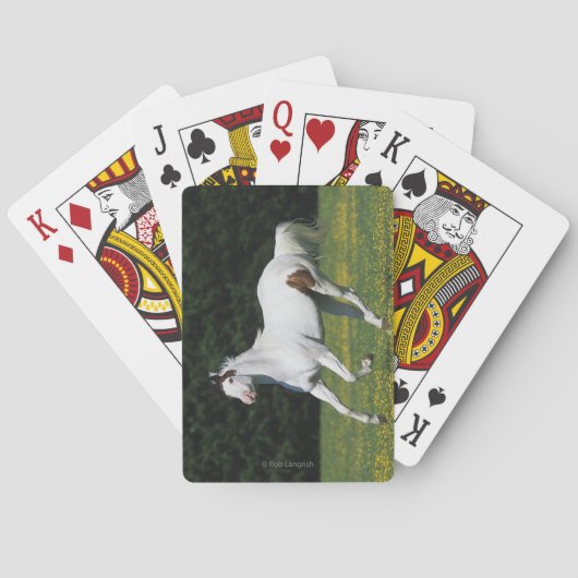 Golden Retriever Headshot 3 Deck Of C - Customized Speelkaarten (Achterkant)