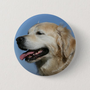 Golden Retriever Headshot 4 Ronde Button 5,7 Cm