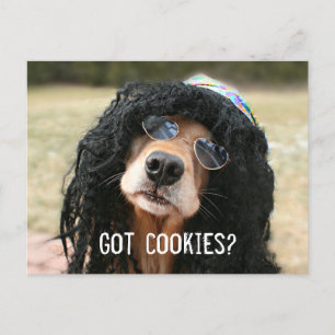Golden Retriever Hippie "Heb koekjes?" Briefkaart