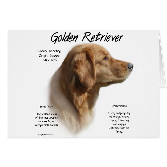 Golden Retriever History Design (Voorkant Horizontaal)