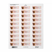Golden Retriever Hond Retouradres Labels (Full Sheet)