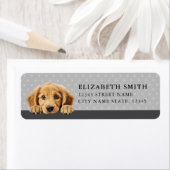 Golden Retriever Hond Retouradres Labels (Insitu)