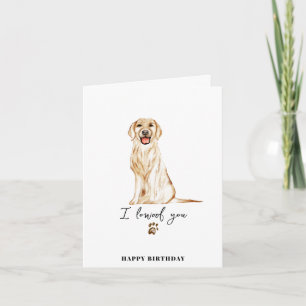 Golden Retriever Hondenpoot Puppy Huisdieren Verja Kaart
