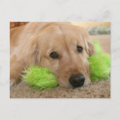 Golden Retriever hoorde dat je ziek werd. Briefkaart (Voorkant)