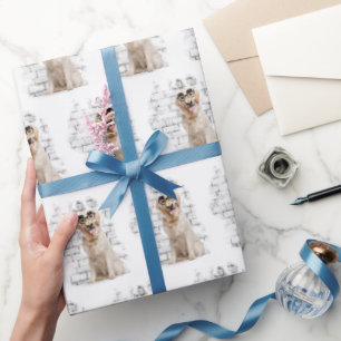 Golden Retriever Humor Cadeaupapier