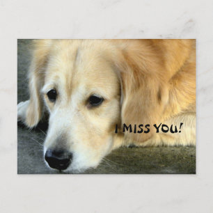 Golden Retriever/I Miss You Briefkaart