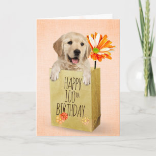 Golden Retriever in 100th Birthday Bag Kaart