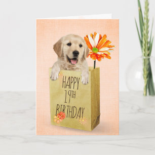 Golden Retriever in 19th Birthday Bag Kaart