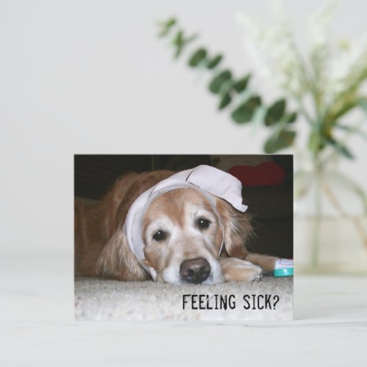Golden Retriever in Bandages wordt snel beter Briefkaart (Staand voorkant)