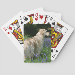 Golden Retriever in Bloemen Speelkaarten