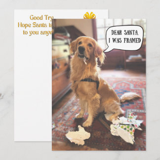 Golden Retriever in de problemen met Kerstman Kers