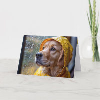 Golden Retriever in een regenjas