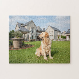 Golden Retriever in Garden Jigsaw Puzzle