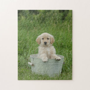 Golden retriever in het wasbekken legpuzzel
