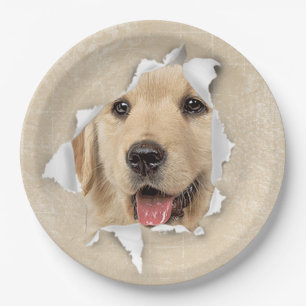 Golden Retriever in papieren hol Bordje