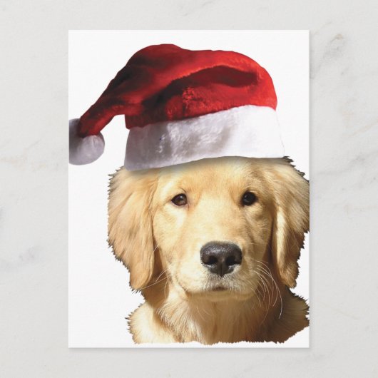 Golden Retriever in Santa Hat Feestdagenkaart (Voorkant)
