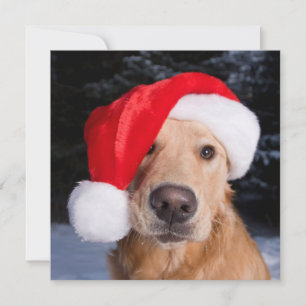 Golden Retriever in Santa Hat Feestdagenkaart