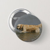 Golden Retriever in water Ronde Button 5,7 Cm (Voorkant /achterkant)