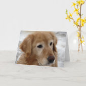 Golden Retriever in Winter All Occasions Kaart (Gele Bloem)