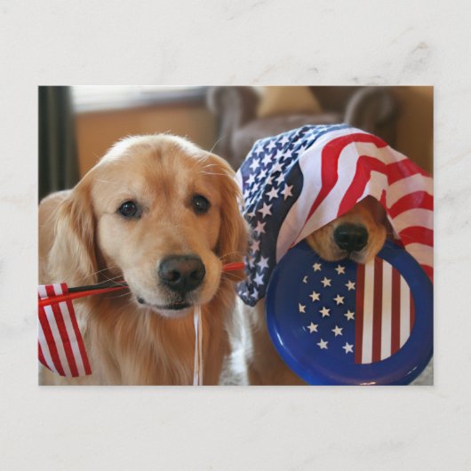 Golden Retriever Independence Day Briefkaart (Voorkant)