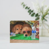Golden Retriever Indoor Picnic Briefkaart (Staand voorkant)