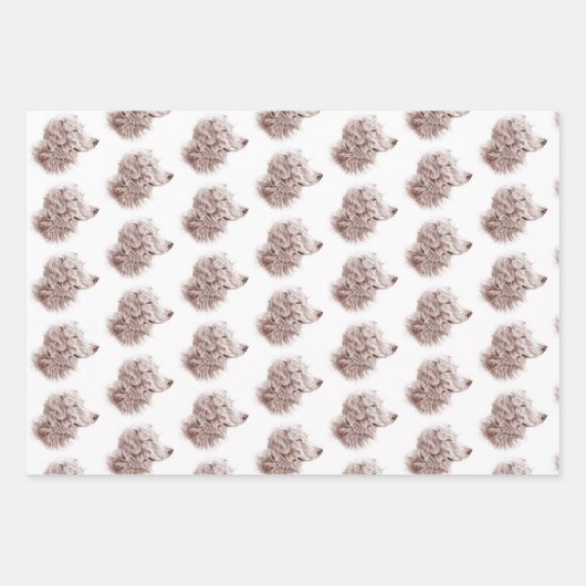 Golden Retriever Inpakpapier Vel (Voorkant)