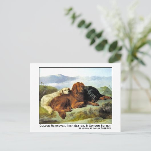 Golden Retriever, Irish Setter en Gordon Setter Briefkaart (Staand voorkant)