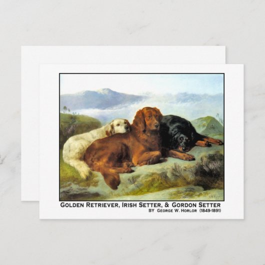 Golden Retriever, Irish Setter en Gordon Setter Briefkaart (Voorkant / Achterkant)
