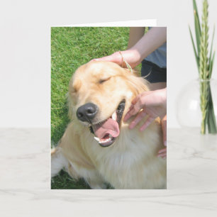 Golden Retriever je deed het feliciteren Kaart