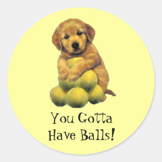 Golden Retriever je moet een tandenstoker hebben Ronde Sticker